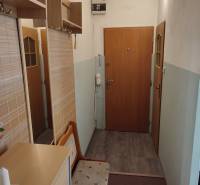 Entrance hallway of a 2-room apartment with a shoe cabinet and a coat rack.