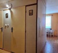 A hallway in a 2-room apartment with built-in cabinets and a view into the kitchen.