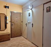A hallway in a 2-room apartment with wooden furniture, a mirror, and security doors.