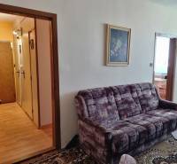 Living room with a sofa and a painting in a 2-room apartment.