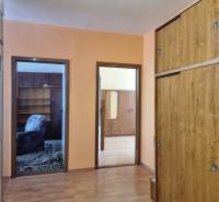 In the 2-room apartment, there is a hallway with storage closets and access to the rooms.