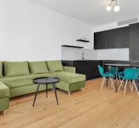 Living room in a two-room apartment with an olive sofa and a kitchenette.
