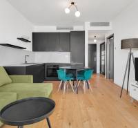 Interior of a 2-room apartment with a black kitchen, green sofa, and dining table.