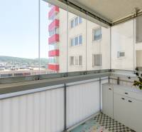 Glazed loggia with a view, apartment, cabinet with a plant, view of the hills.
