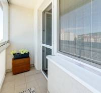 Glazed loggia with a flower pot in a 3-room apartment, view of Bratislava from Saratovská Street.