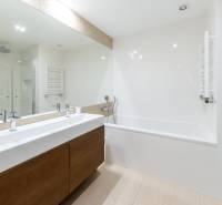Bathroom in a 3-room apartment with a sink, shower, and bathtub, neutral colors.