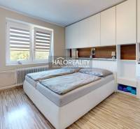 A bedroom in a family house with a large bed, built-in wardrobes, and a window.