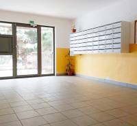 Lobby with mailboxes and glass doors, suitable for a 1-bedroom apartment.