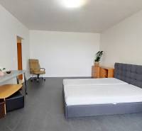 A one-bedroom apartment with a bed, table, office chair, and a dresser with a plant.