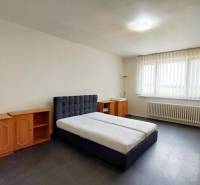 A simply furnished room with a bed, a dresser, and a large window in a studio apartment.