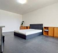 A bright room with a bed and furniture in a studio apartment offers comfortable living.
