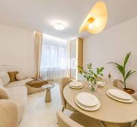 The living room in a 3-room apartment on Benediktiho Street, bright and cozy with a plant.