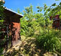 A garden with a wooden cottage in Nemce, surrounded by greenery and flowers.