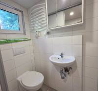 Bathroom in a cabin with a toilet, sink, and mirror.
