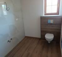 Bathroom in a cabin with a toilet, wooden floor, and wall heating.