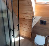 A bathroom in a cabin with a shower and wooden paneling under a skylight.