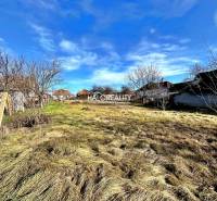 Plots - housing in Veľké Ludince with trees and grass, ideal for construction.
