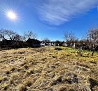 Plots - housing in Veľké Ludince with grassy area, trees, and clear sky.