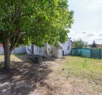 Garden with lawn and tree in Gajary on Športová, residential plots.