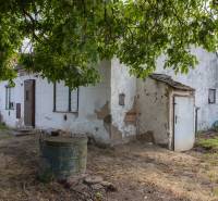 A house on Športová Street in Gajary, intended for living, surrounded by trees and lawn.