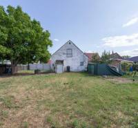 Lands - housing on Športová Street in the village of Gajary with a house and a large tree.