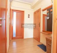 A hallway in a 3-room apartment with wooden flooring and doors.