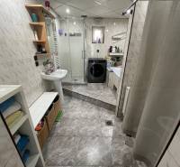 A bathroom in a family house with a washing machine, shower, and sink on the tiles.
