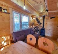 A cabin with a wooden interior, a sofa, and a stove.