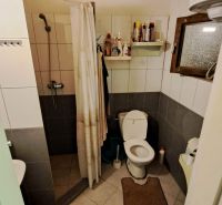 A bathroom in a cabin with tiles, a shower, a toilet, and a wooden ceiling.