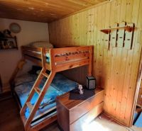 Bunk bed in a cozy room with wooden paneling in a cabin.