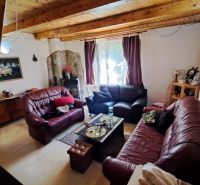 Living room in a cabin with wood-patterned flooring and comfortable leather sofas.