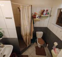 A bathroom in a cabin with a toilet, shower, and white tiles.