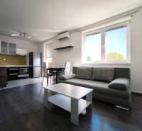 Living room with kitchen in a 2-room apartment, with a gray sofa and wooden flooring.