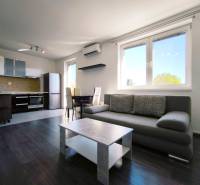 Living room with kitchen in a 2-room apartment, gray sofa, dining table, dark floor.
