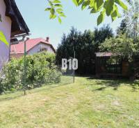 A garden at a family house in Podhradie, with a lawn, shrubs, and trees, the fencing is visible.