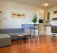 Bright living room with a kitchenette, sofa, and wooden floor in a studio apartment.