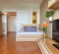 A room with a wooden floor, a bed, and a television, a studio apartment with a bright interior.
