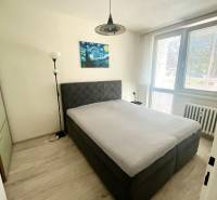 Bedroom in a 3-room apartment with a bed, art on the wall, and a large window.