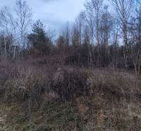 Scenic landscape on recreational lands on Eva Street in Holčíkovce.
