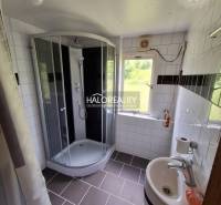 A bathroom with a corner shower and a sink in a cabin.