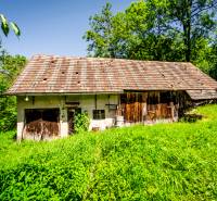 An old family house in Púchov surrounded by lush greenery and trees.
