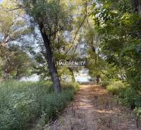 A forest path to the lake surrounded by trees in Radvaň nad Dunajom.