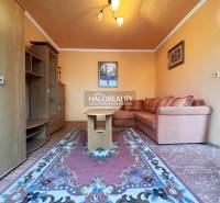 Living room with orange walls, a sofa, and a carpet in a studio apartment.