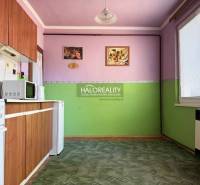 A kitchen in a one-room apartment with a wooden cabinet, a green carpet, and decorations on the walls.