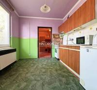 A kitchen in a studio apartment with purple-green walls, a green carpet, and wooden cabinets.