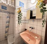 A bathroom in a studio apartment with an old pink sink unit and a shower stall.