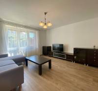 Living room in a two-room apartment with a sofa, table, and television, minimalist furnishings.