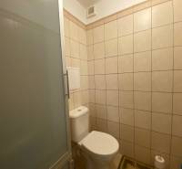 Bathroom with toilet and shower in a 2-room apartment.