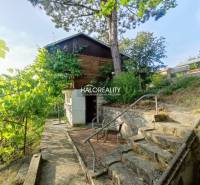 Gardens in Zvolen with stairs, trees, and a wooden house, creating a pleasant atmosphere.