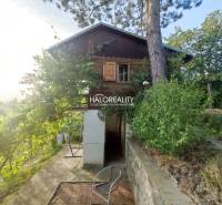 A garden in Zvolen with a wooden cottage and a tree, sunny weather.